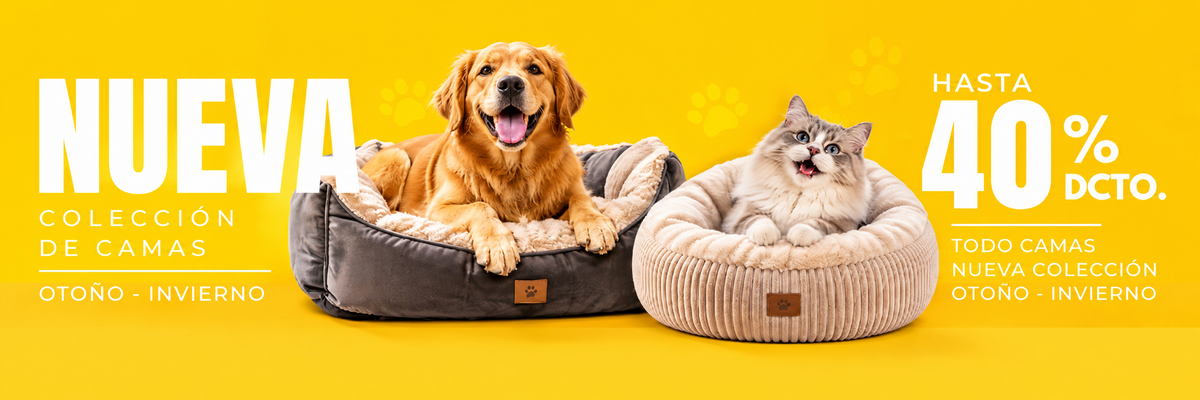 Nueva colección de camas para mascotas. Perro golden retriever y gato en sus camas. Hasta 40% de descuento, otoño e invierno.